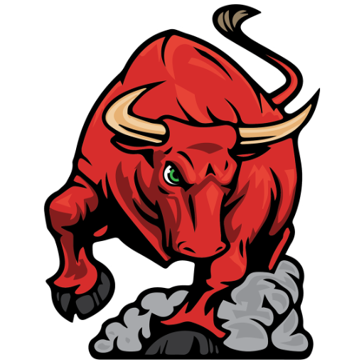 Dover High School Logo