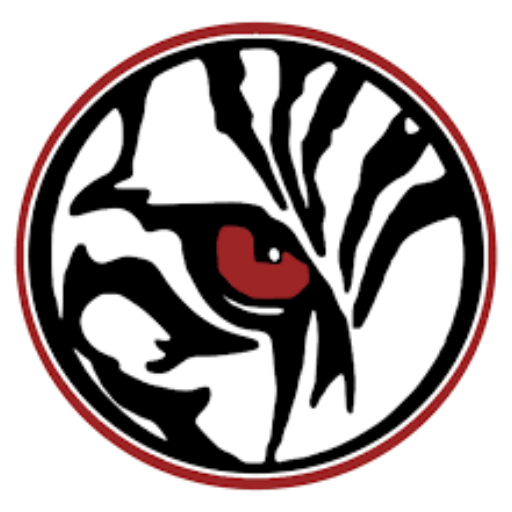 Palmetto TigerVision logo
