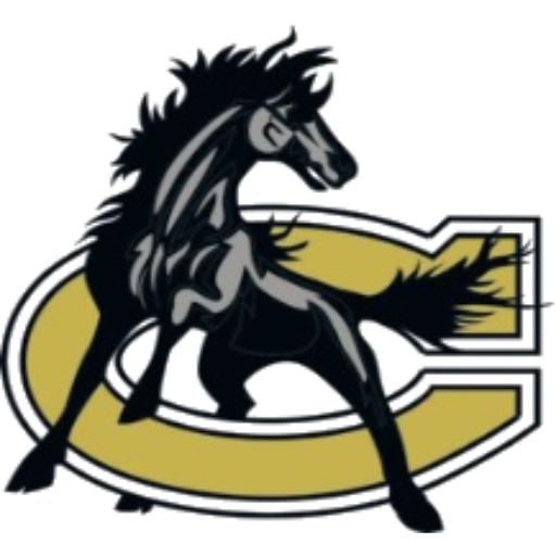 Boys Varsity Football