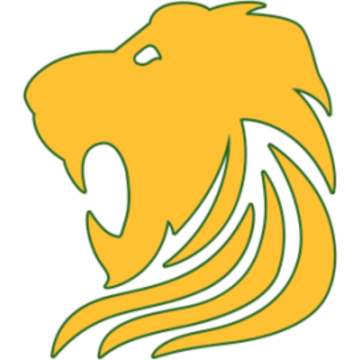 Boys Varsity Football