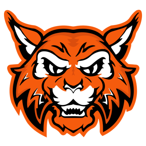 Verona Area High School Logo