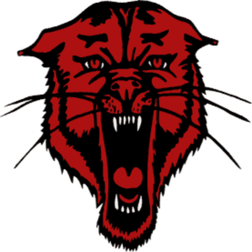 Lesterville High School Basketball