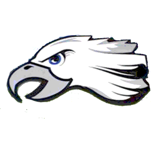 Valley Christian School logo