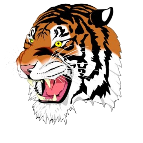Boys Varsity Basketball