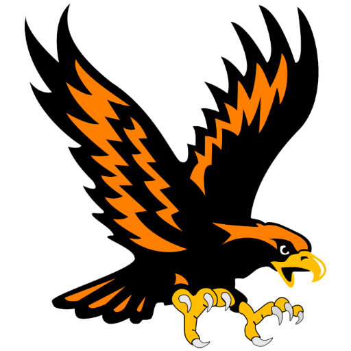 Somerset Area High School Logo