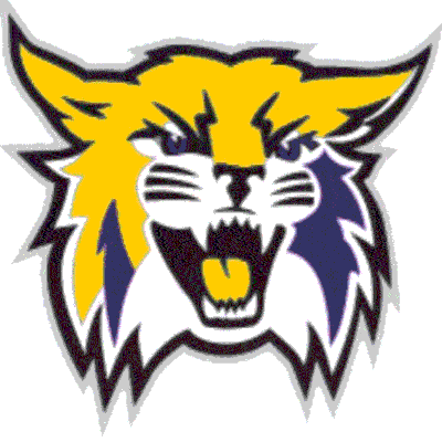 Verona High School Football