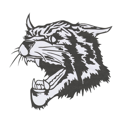 Northeast High School - Cairo Basketball