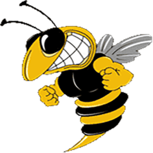 McAdory High School Logo