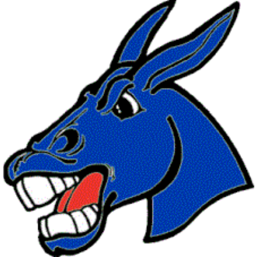 Bernie High School logo