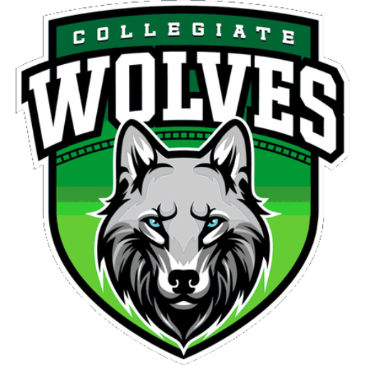 Collegiate Charter School of Lowell Basketball