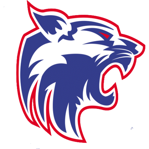 Harmony School Innov - Brownsville logo