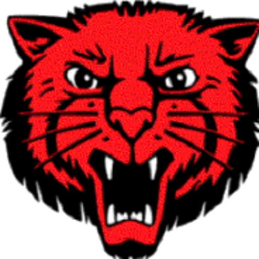 Novinger High School Basketball
