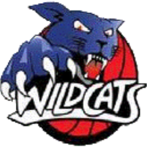 Boys Varsity Basketball