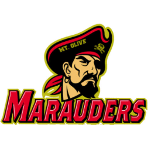 Mount Olive High School logo