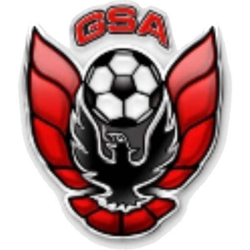 Girls Varsity Soccer