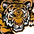 Girls Middle School Basketball