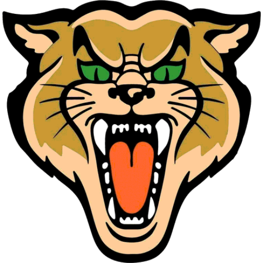 Osborn High School Basketball