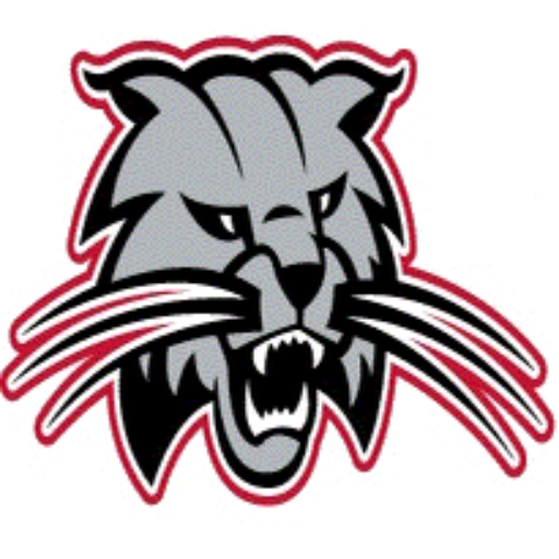 Boys Varsity Basketball