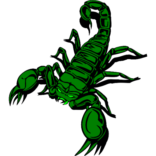 Farmington High School Flag Football