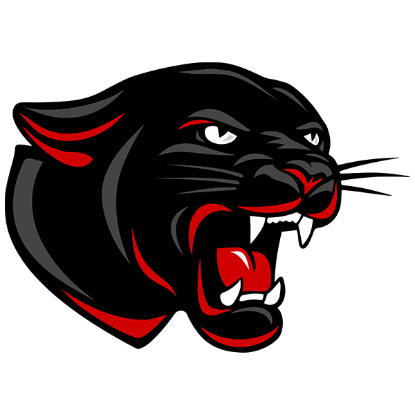 Prairie Home High School Basketball
