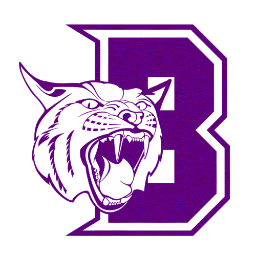 Berryville High School Volleyball
