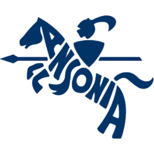 Boys Varsity Football