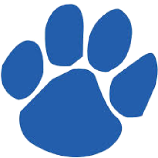 Notre Dame Academy Volleyball