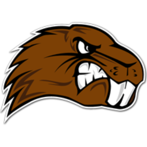 Lakeside High School Logo