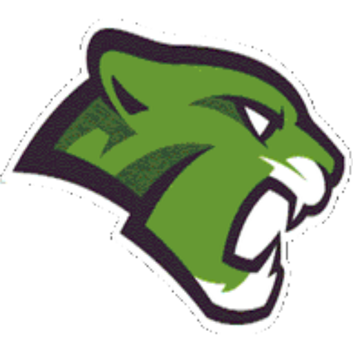 Phoenix CHS