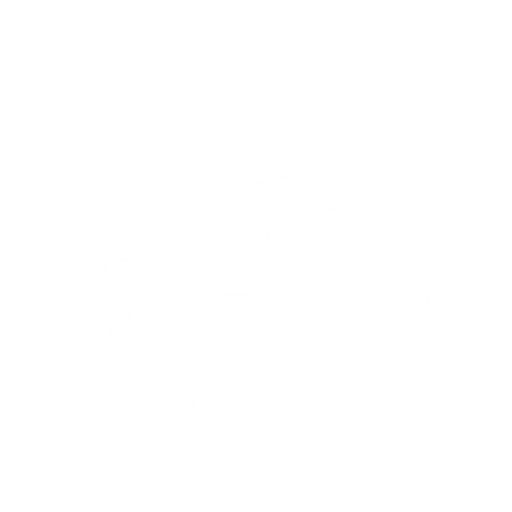 Bell Shoals Academy logo