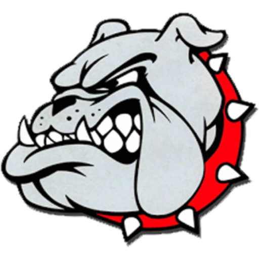 Girls Varsity Lacrosse
