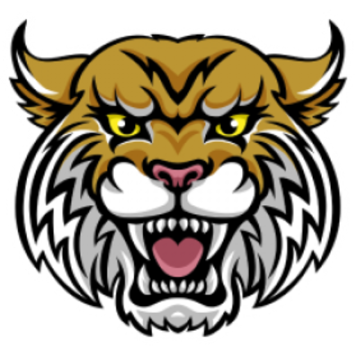 Boys Varsity Soccer