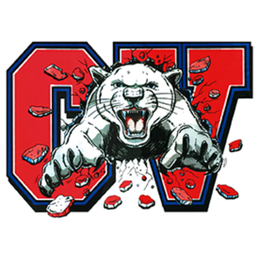 Boys Junior Varsity Basketball