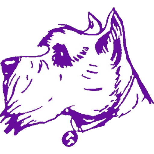 Terry High School Logo