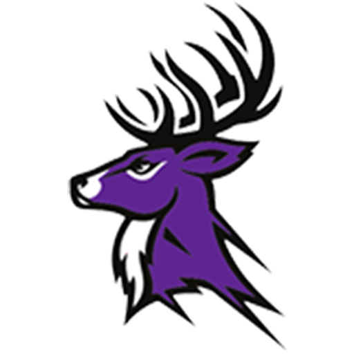Clarkton High School Basketball