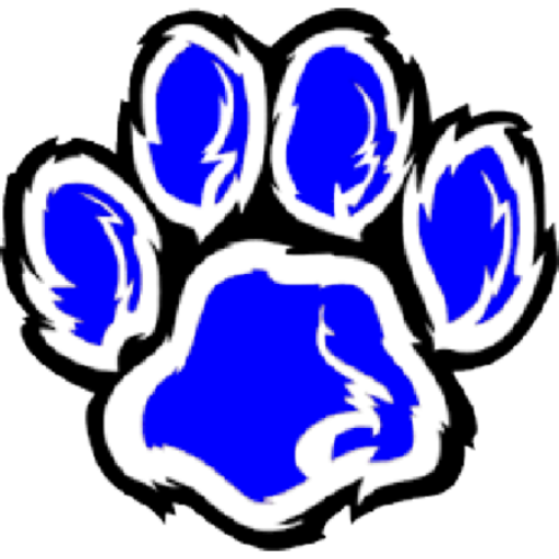 Brilliant High School Logo