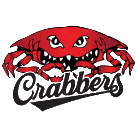 Hampton High School logo