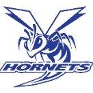 Vinita High School logo