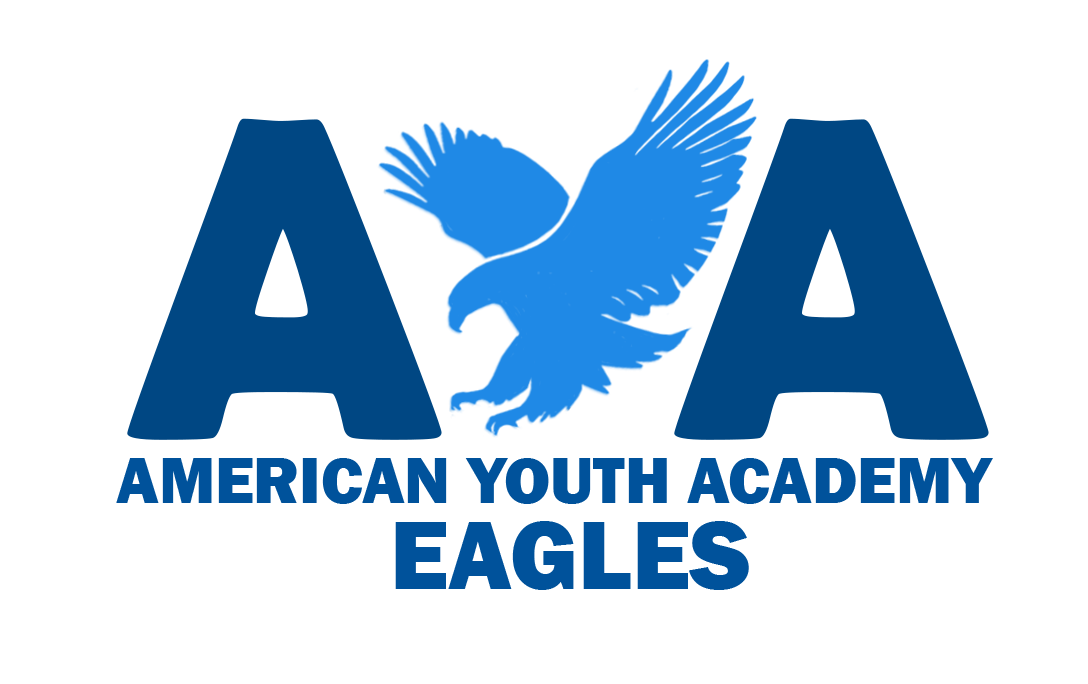 American Youth High School Tampa, FL