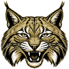 Wayne County High School Logo