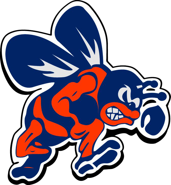 Bridgman High School Bridgman, MI