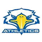 New Day Academy logo