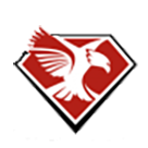 Diamond Community High School logo