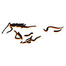 Meadowbrook High School logo