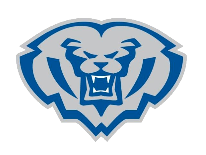 Hamilton Southeastern High School Soccer Fishers, IN