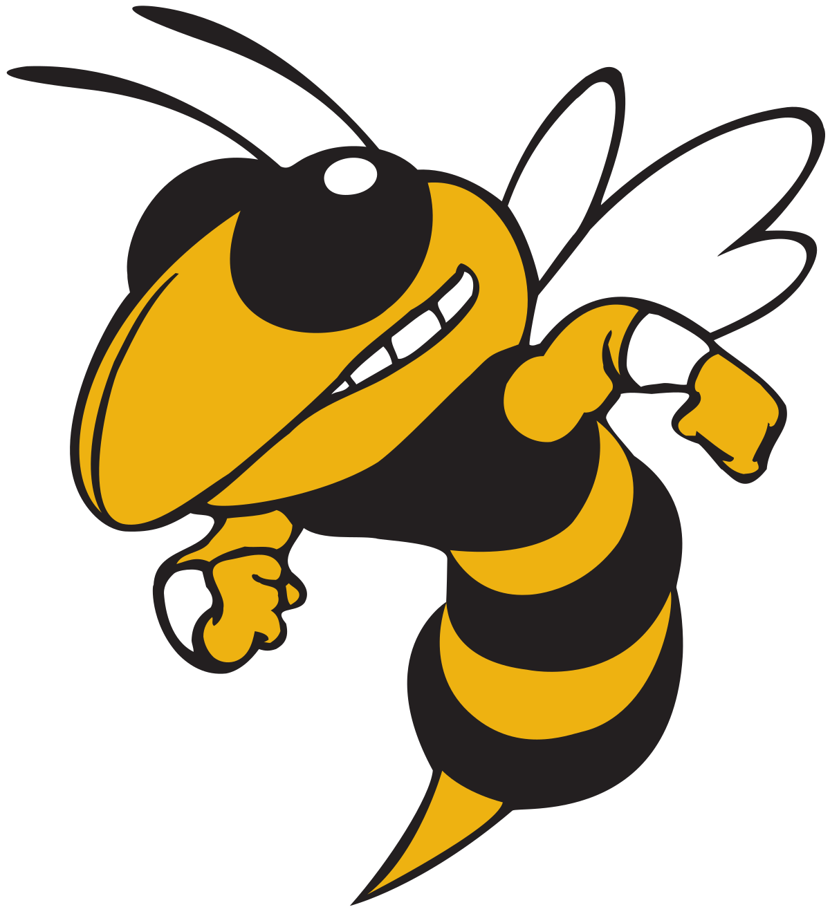Hinsdale South High School logo
