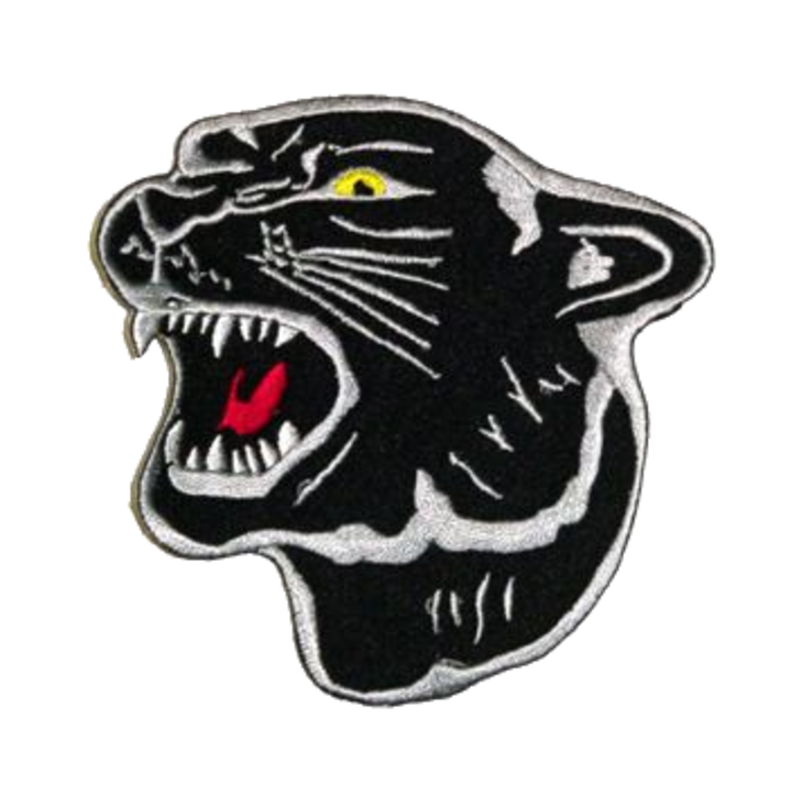 Putnam County High School logo