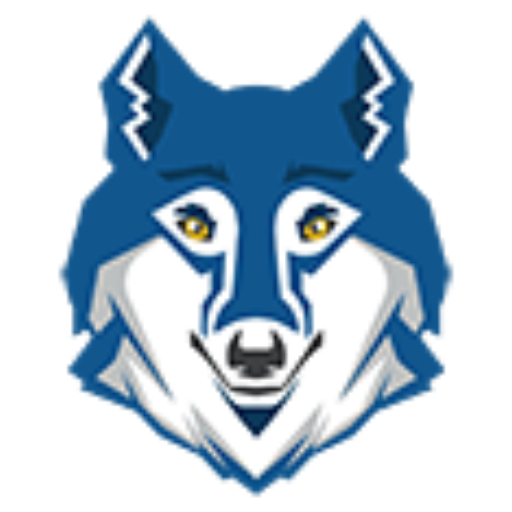 Virtus Academy