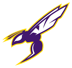 Valley Center High School logo
